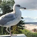 Drewniane Trebor * Miedzyzdroje